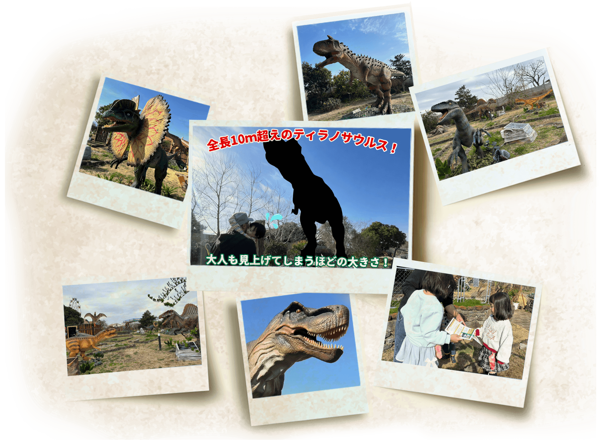 ソレイユ恐竜島の様子