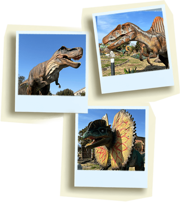 恐竜･化石(模型)の展示