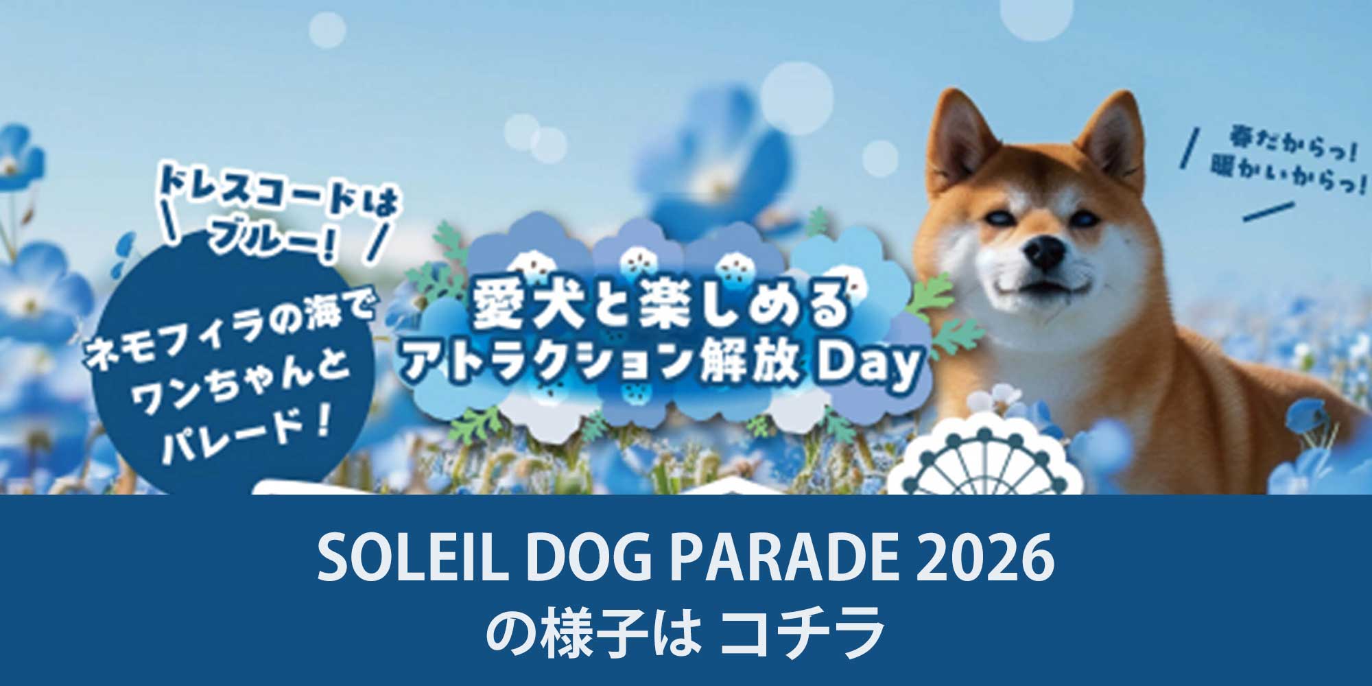 2026年1月25日、26日に開催された SOLEIL DOG PARADE 2026 の様子はこちら