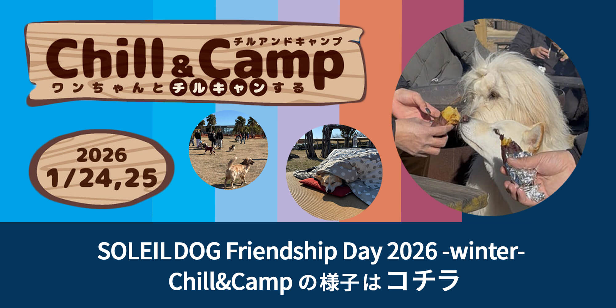 2026年1月24日、25日に開催された SOLEIL DOG Friendship Day 2026 -winter- Chill&Campの様子はこちら