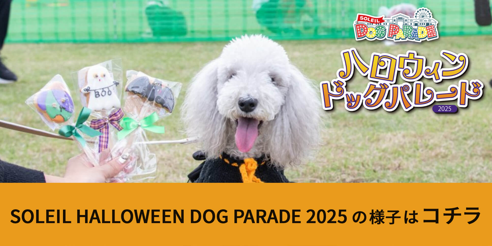 2025年10月25日、26日に開催された SOLEIL HALLOWEEN DOG PARADE 2025の様子はこちら