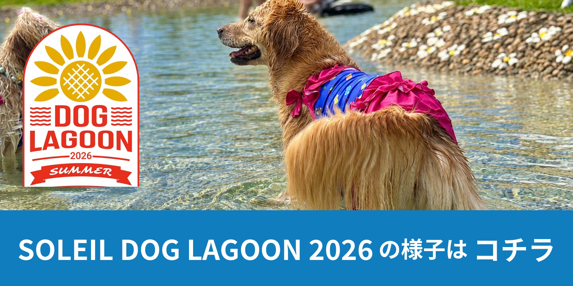 2026年7月4日、5日／8月29日、30日に開催された SOLEIL DOG LAGOON 2026 の様子はこちら
