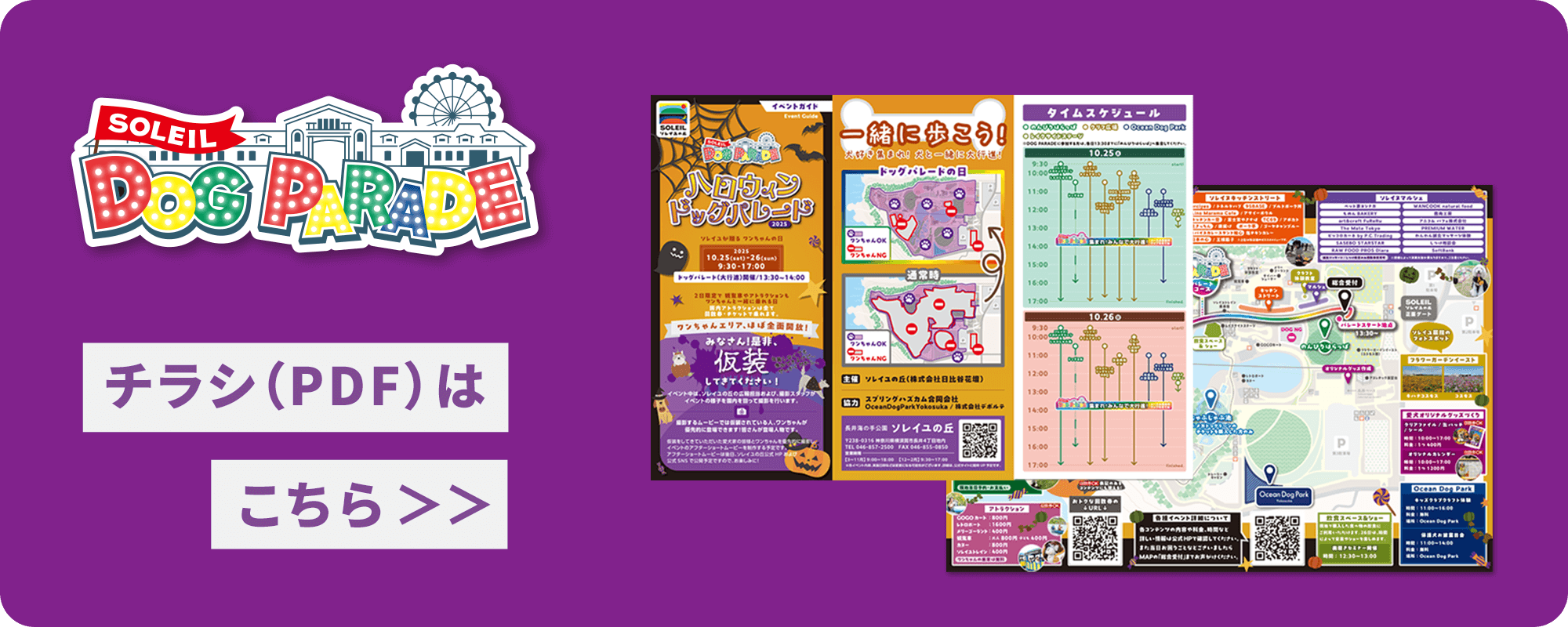チラシはこちら