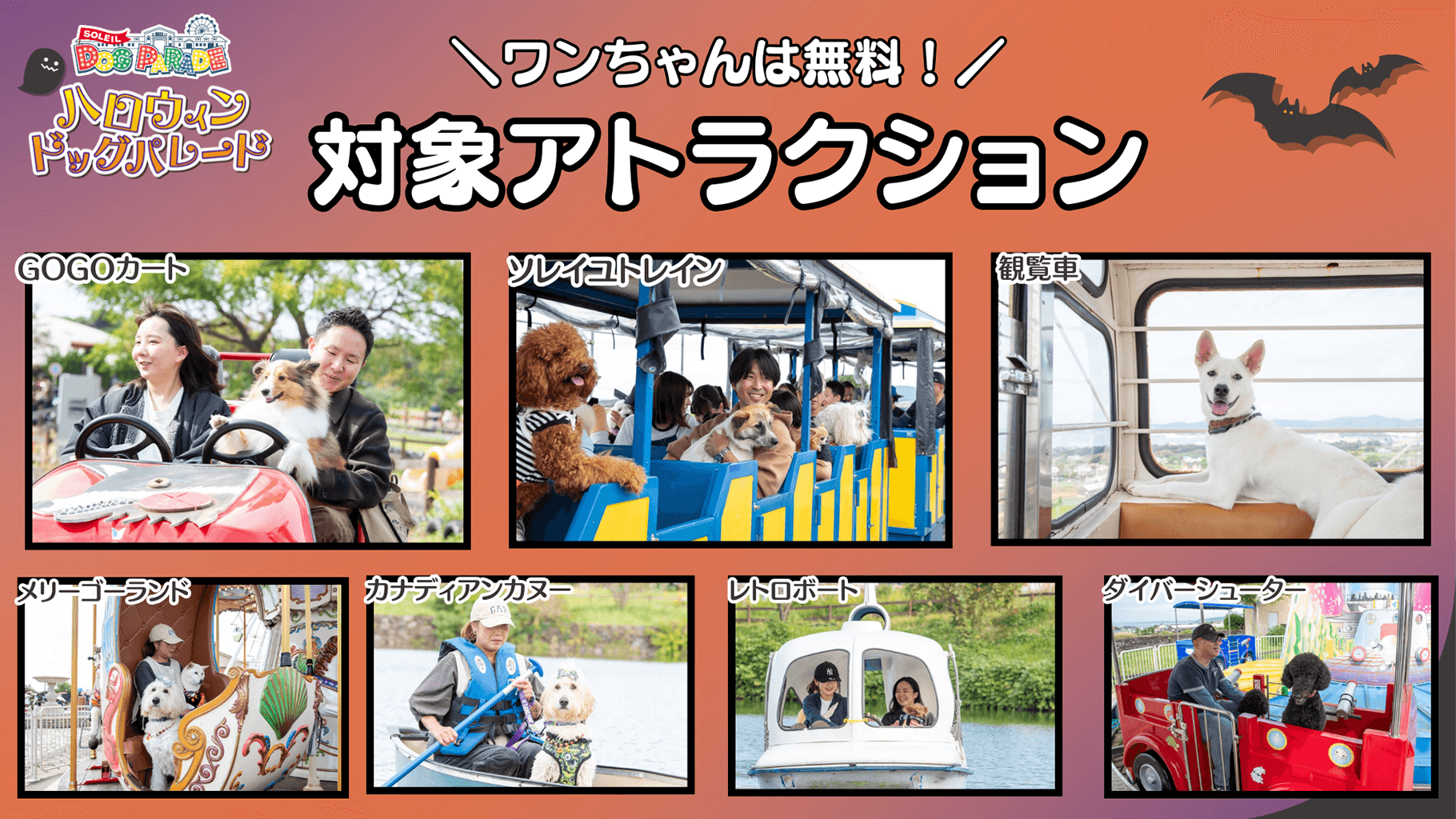 対象アトラクション