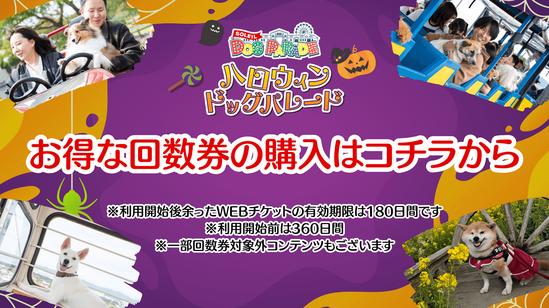 お得な回数券はコチラから