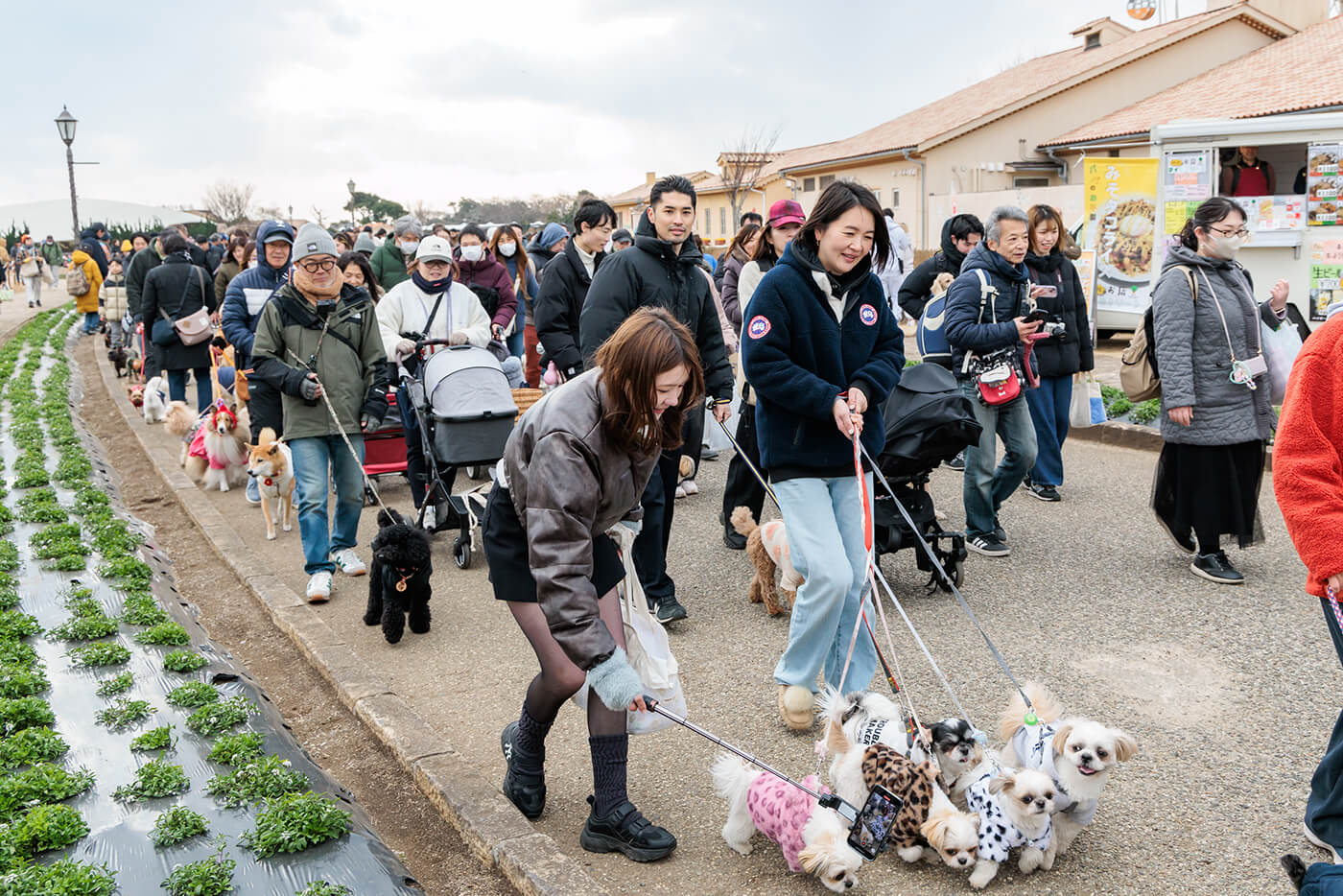 ドッグパレードの様子