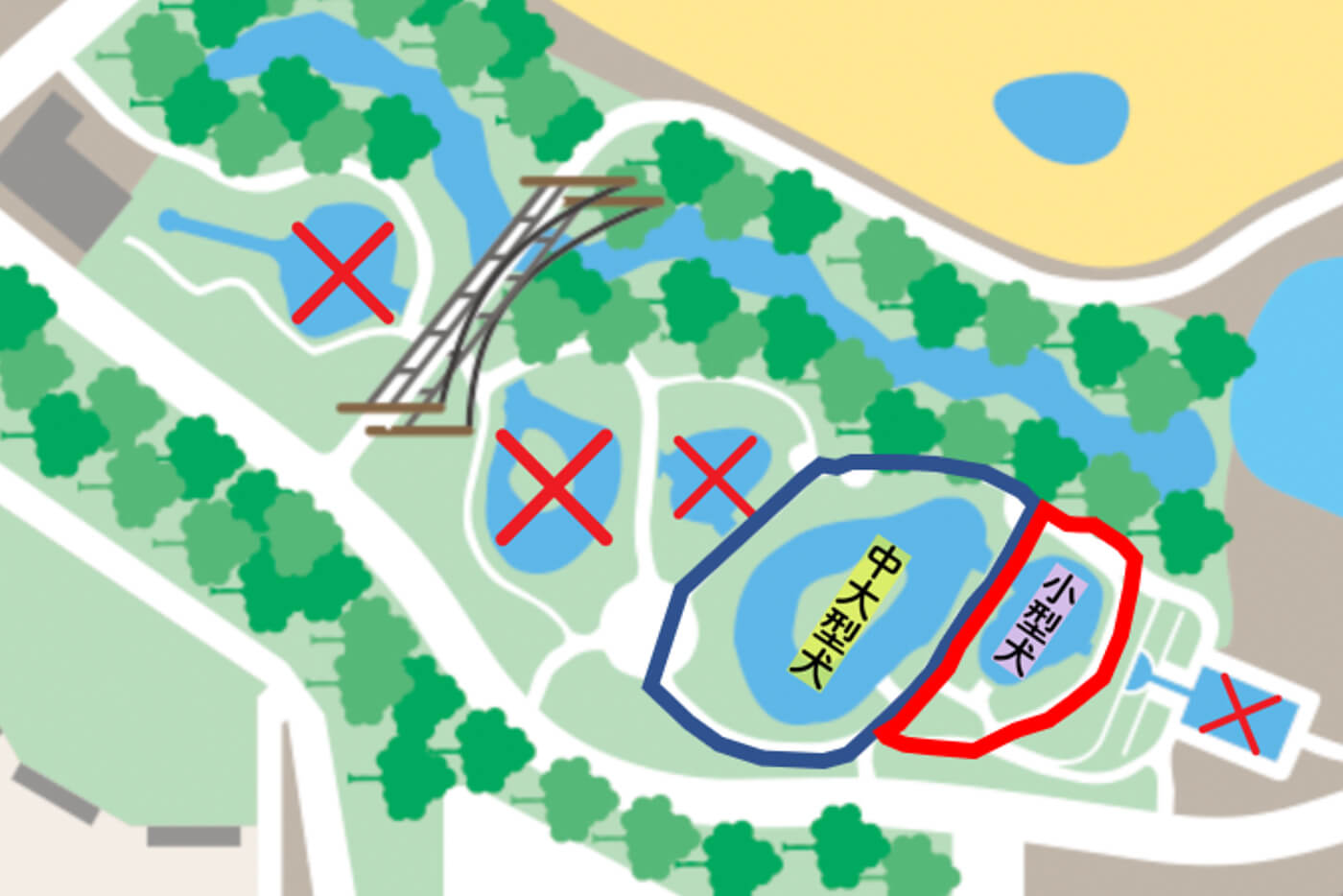 じゃぶじゃぶ池入場可能エリア