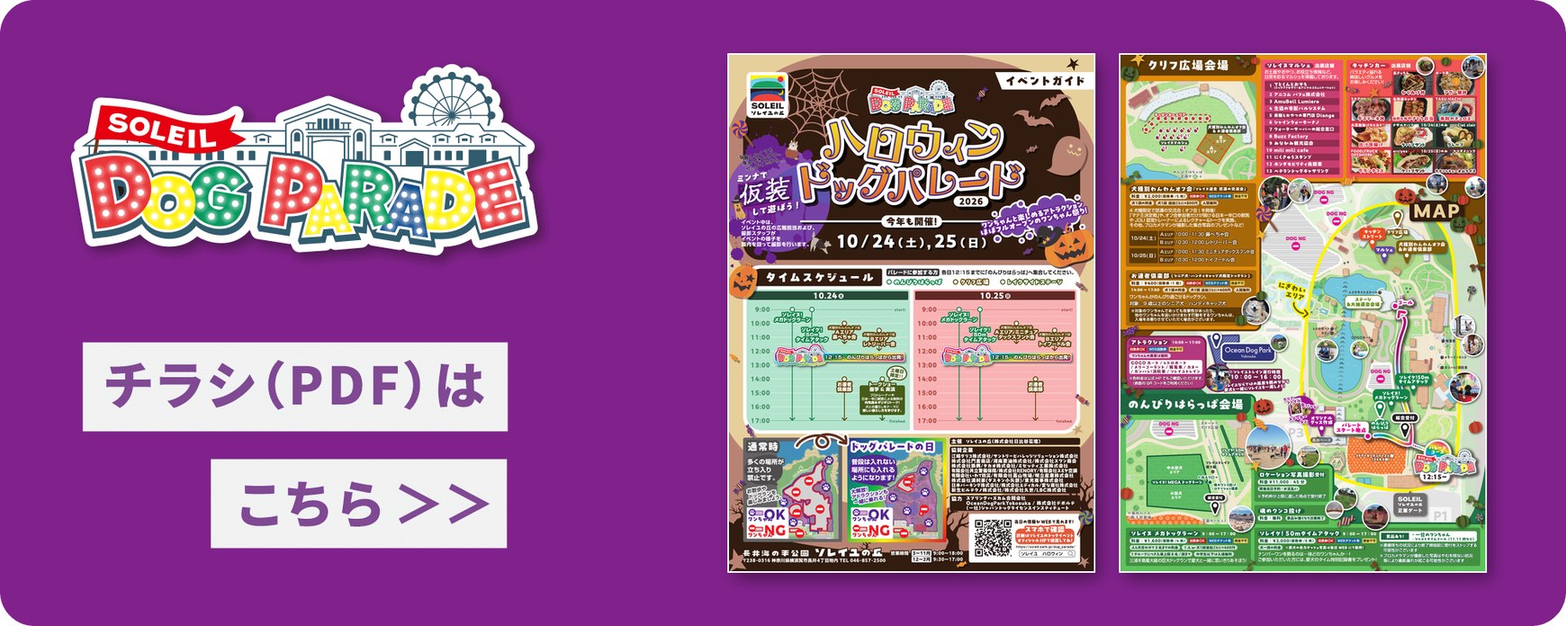 当日パンフレット(チラシ)のPDFはこちら