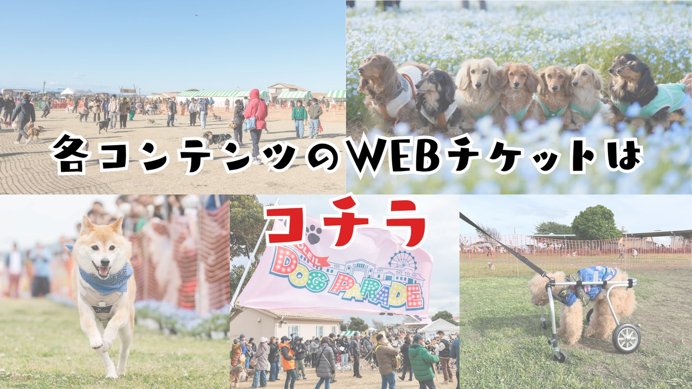 各コンテンツのWEBチケットはコチラ
