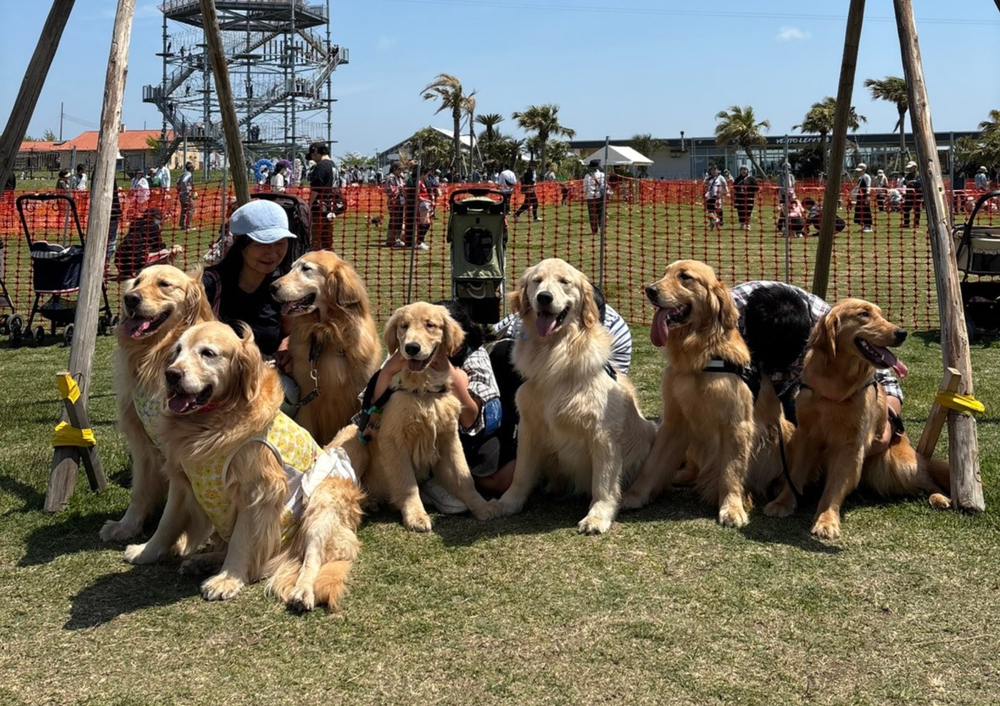 犬種別わんわんオフ会の様子