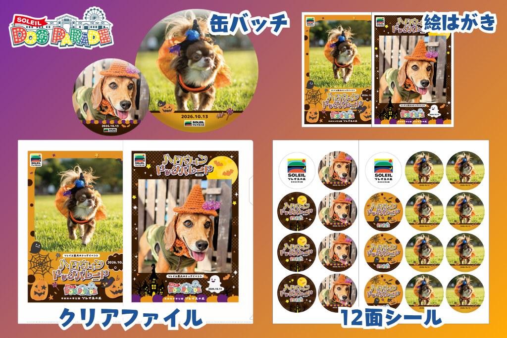 愛犬の写真で作るオリジナルアイテム クリアファイル・缶バッチ・絵はがき・12面シール