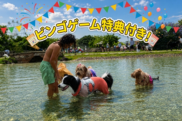 FULL DAY DOG LAGOONの様子
