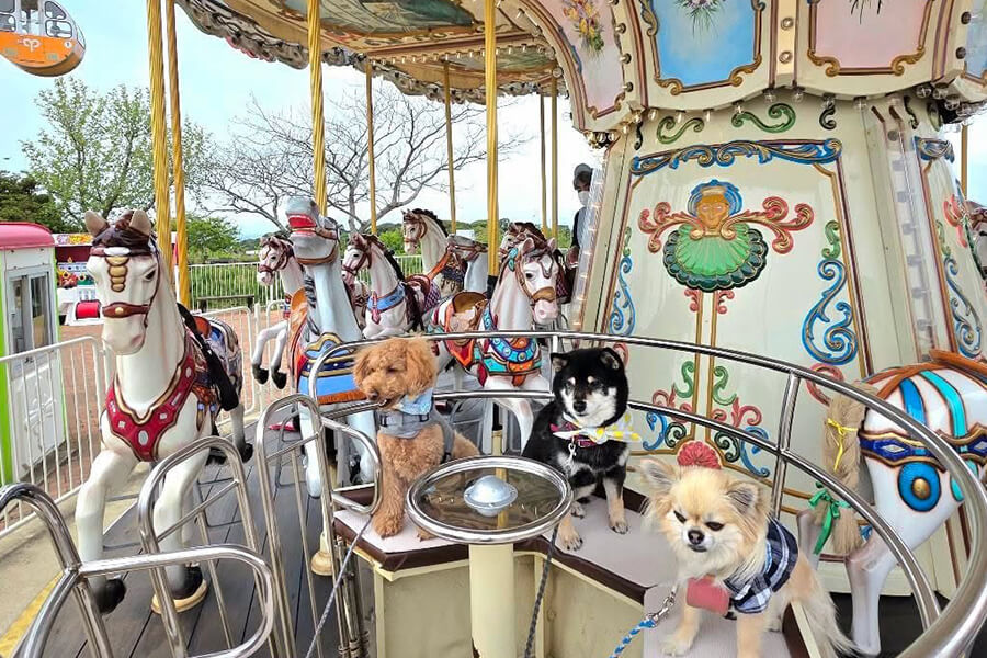 メリーゴーランドの様子