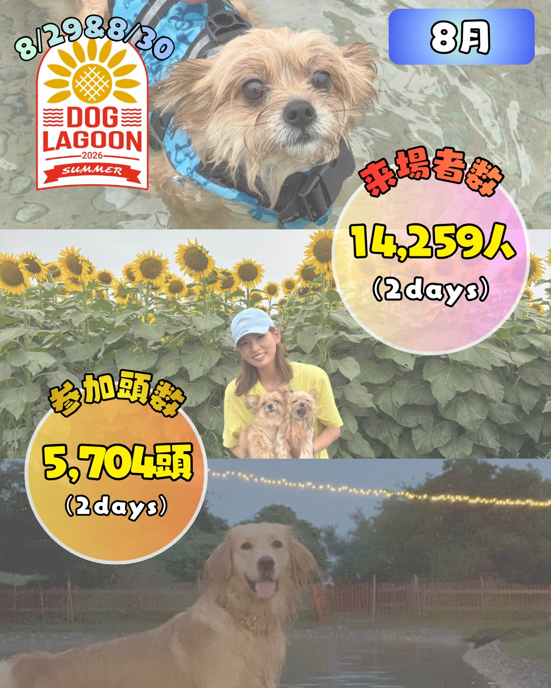 8月 8月29日・8月30日 SOLEIL DOG LAGOON 2026 来場者数 14,259人(2days) 参加頭数 5,704頭(2days)