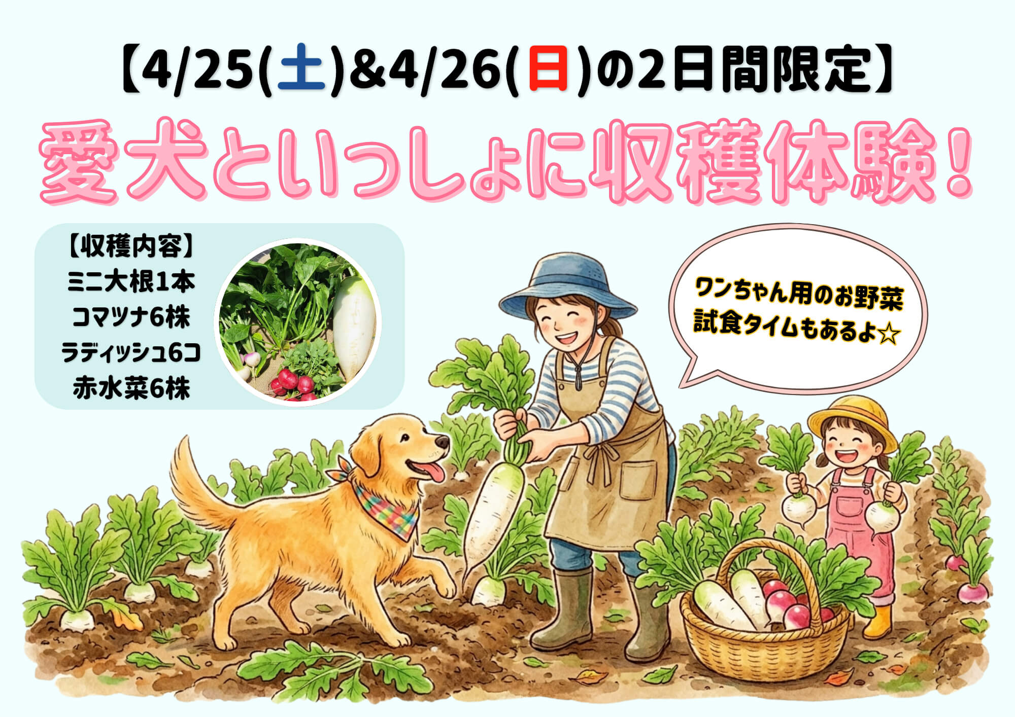 ワンちゃん用の試食タイムもあるよ