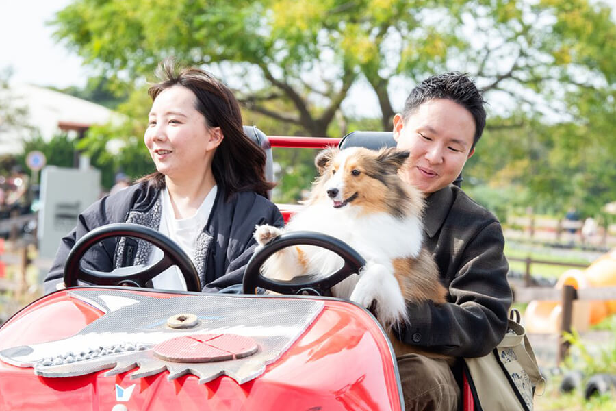 GOGOカートに犬と一緒に乗っている様子