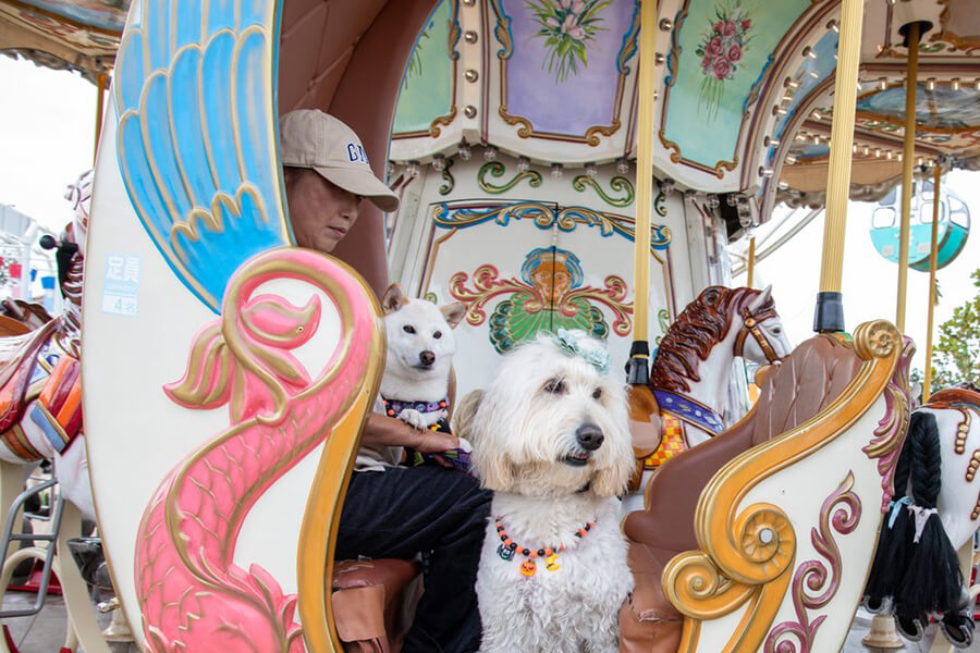 メリーゴーランドに乗る犬