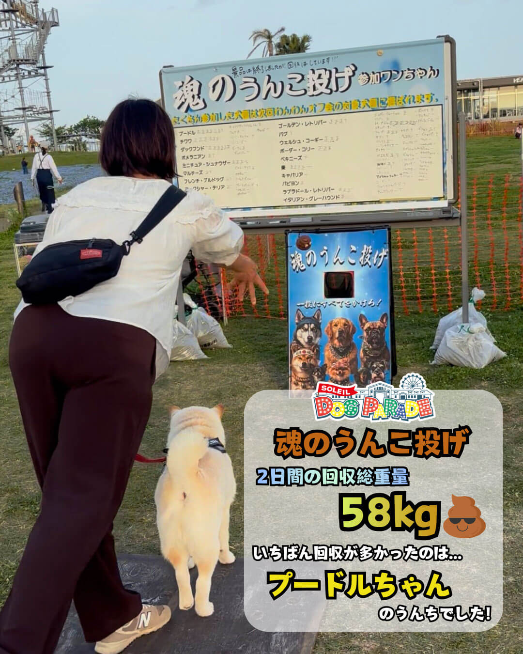 
                    魂のうんこ投げ
                    2日間の回収総重量　58kg
                    一番回収が多かったのはプードルちゃんのうんちでした！