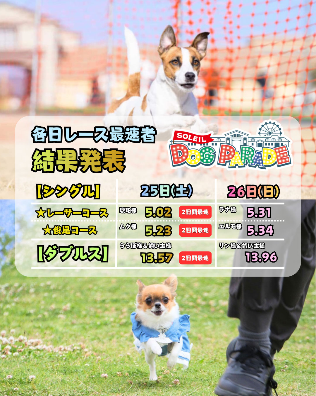 
                    各日レース最速者　
                    シングル
                    レーサーコース　25日　琥珀様　5.02秒　
                                  26日 ラナ様　5.31秒
                    俊足コース　25日 ムク様　5.23秒
                              26日 エルモ様　5.34秒

                    ダブルス　25日ららぽ様＆飼い主様　13.57秒
                              26日リン様＆飼い主様　13.96秒

                    