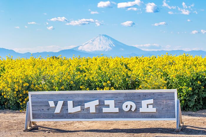 ソレイユの丘から見える富士山