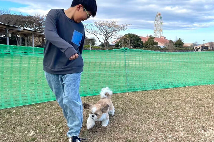 ドッグランで走る犬