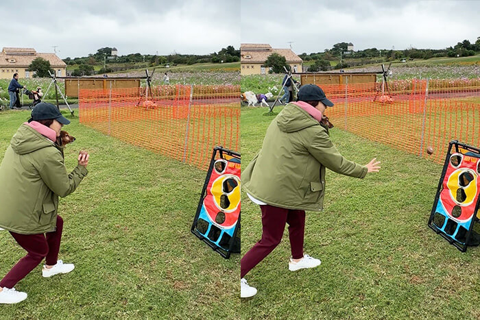 うんち投げゲームに参加する人と犬