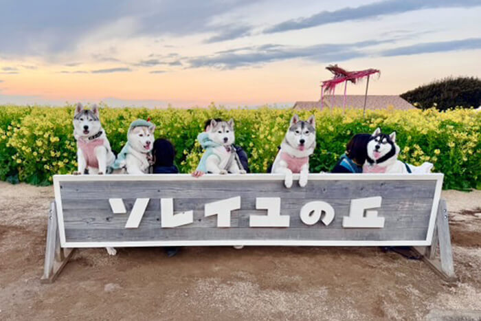 ハスキー支部の集合写真