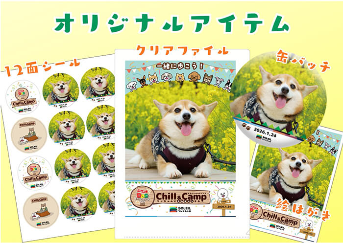 ドッグランを楽しむ犬と人たち