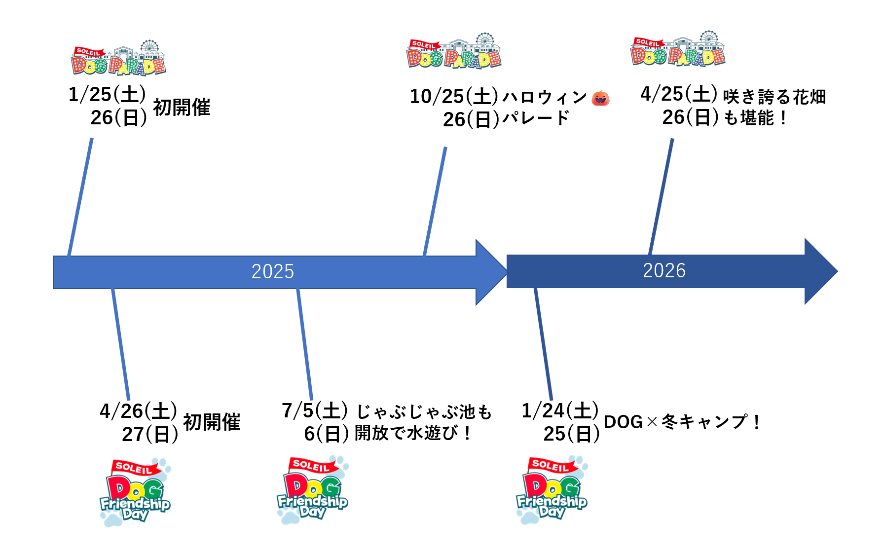 予定スケジュール