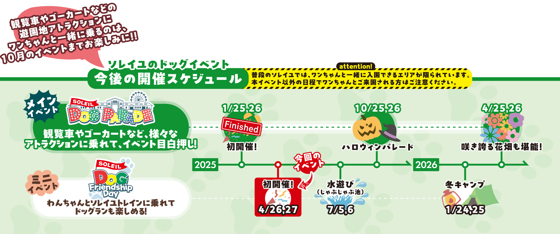 予定スケジュール