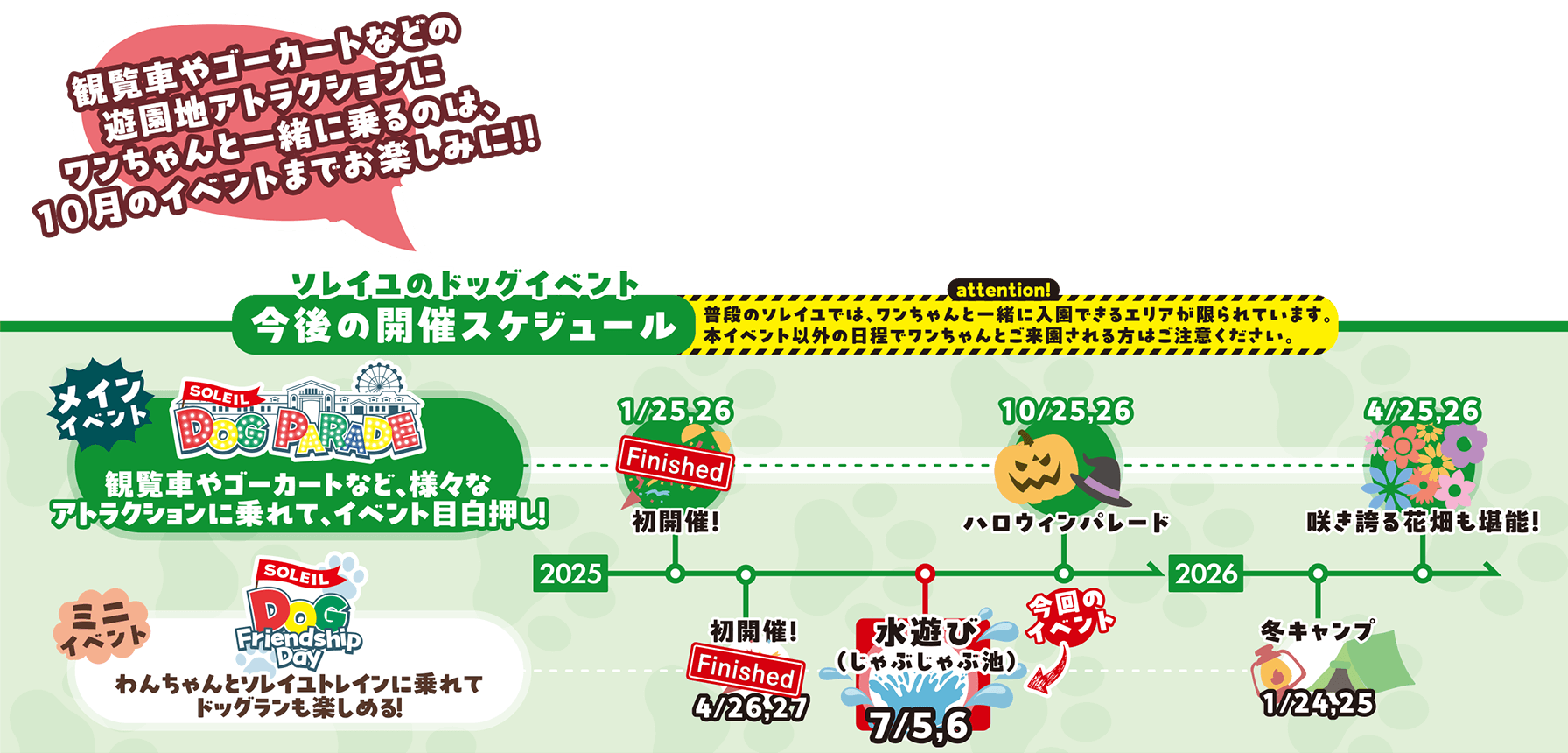 予定スケジュール