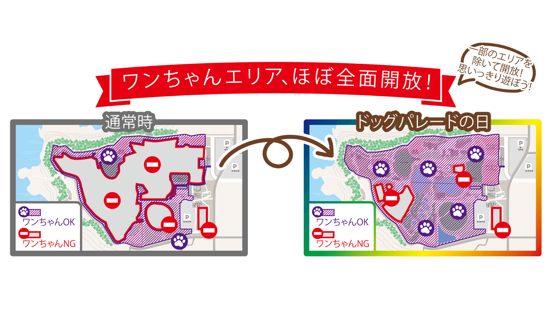  ワンちゃんエリア、ほぼ全面開放！