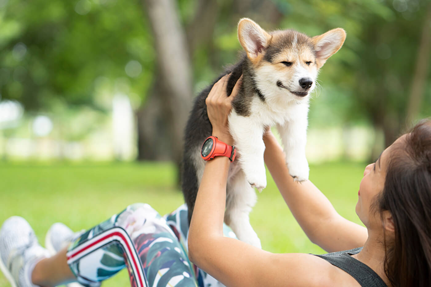 ドッグヨガの様子