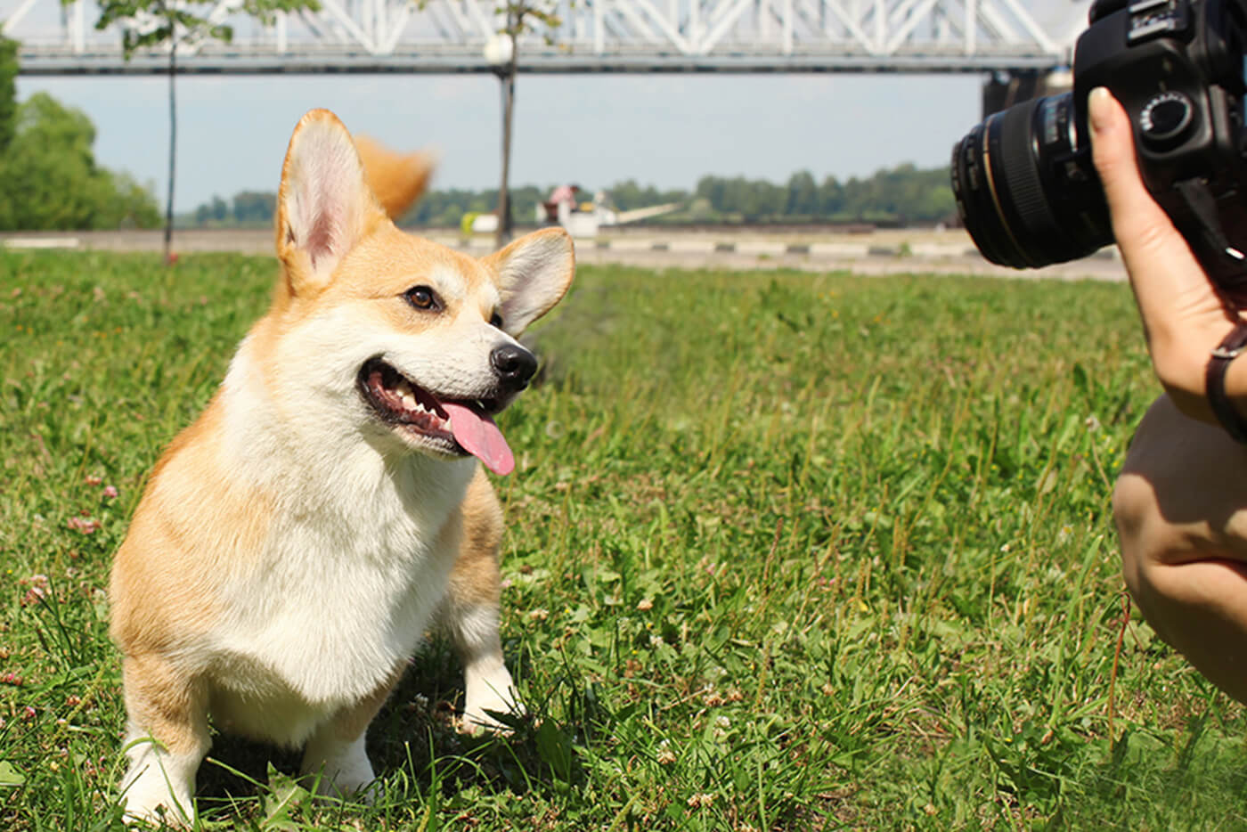 プロカメラマン連れまわしの様子
