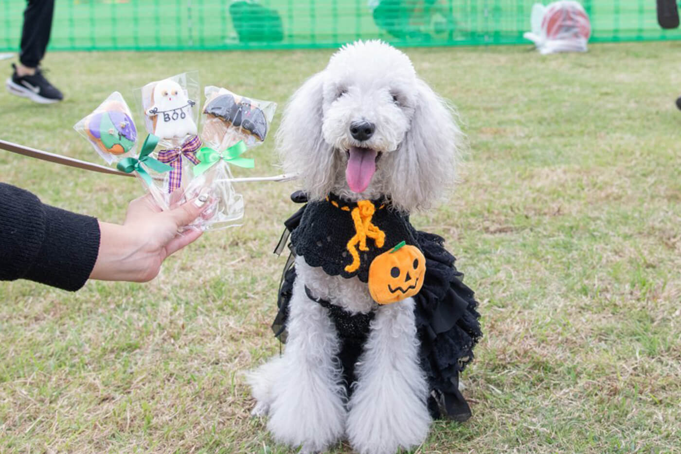 ソレイヌマルシェ