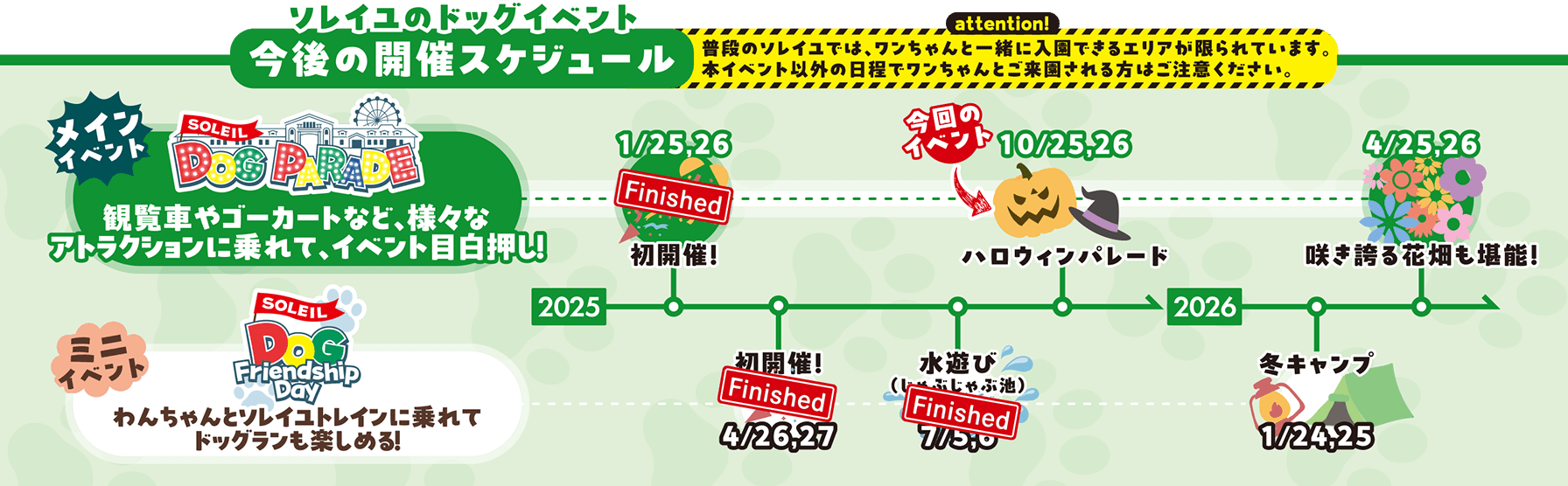 予定スケジュール