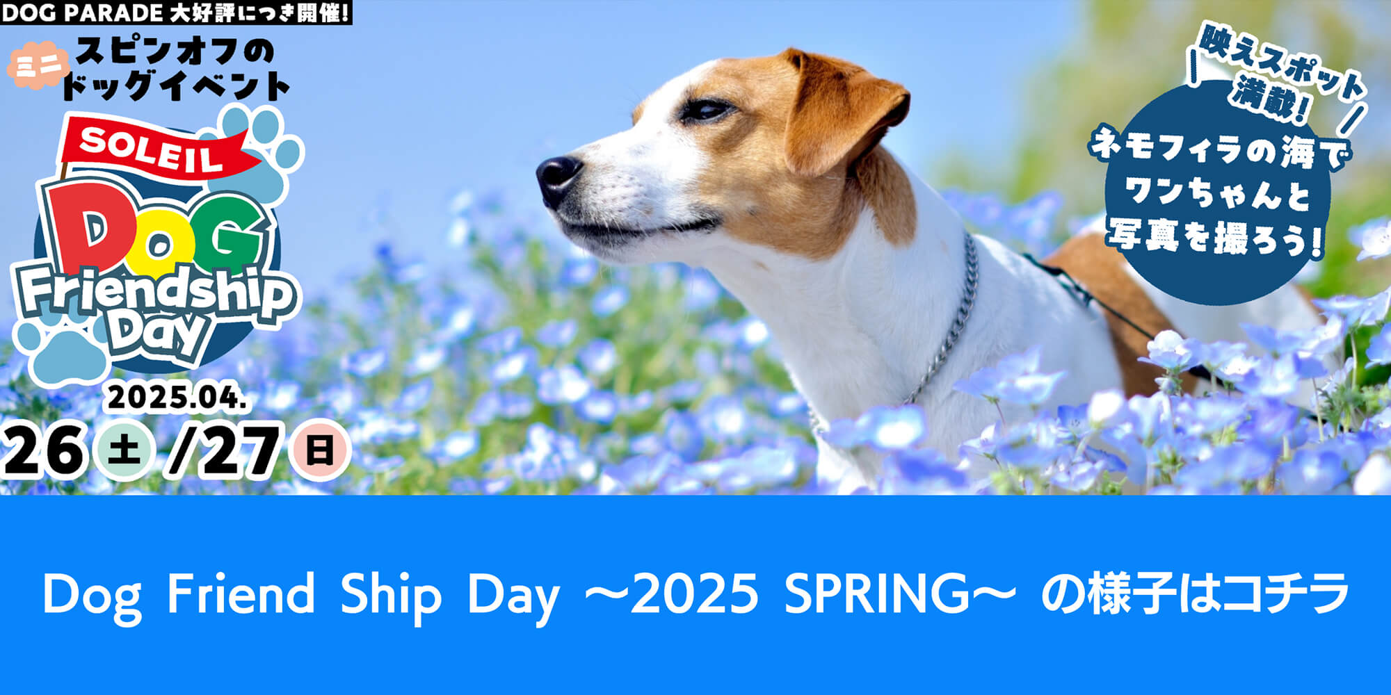 4月26日、27日に開催された Dog Friend Ship Day 2025 springの様子はこちらの様子はこちら