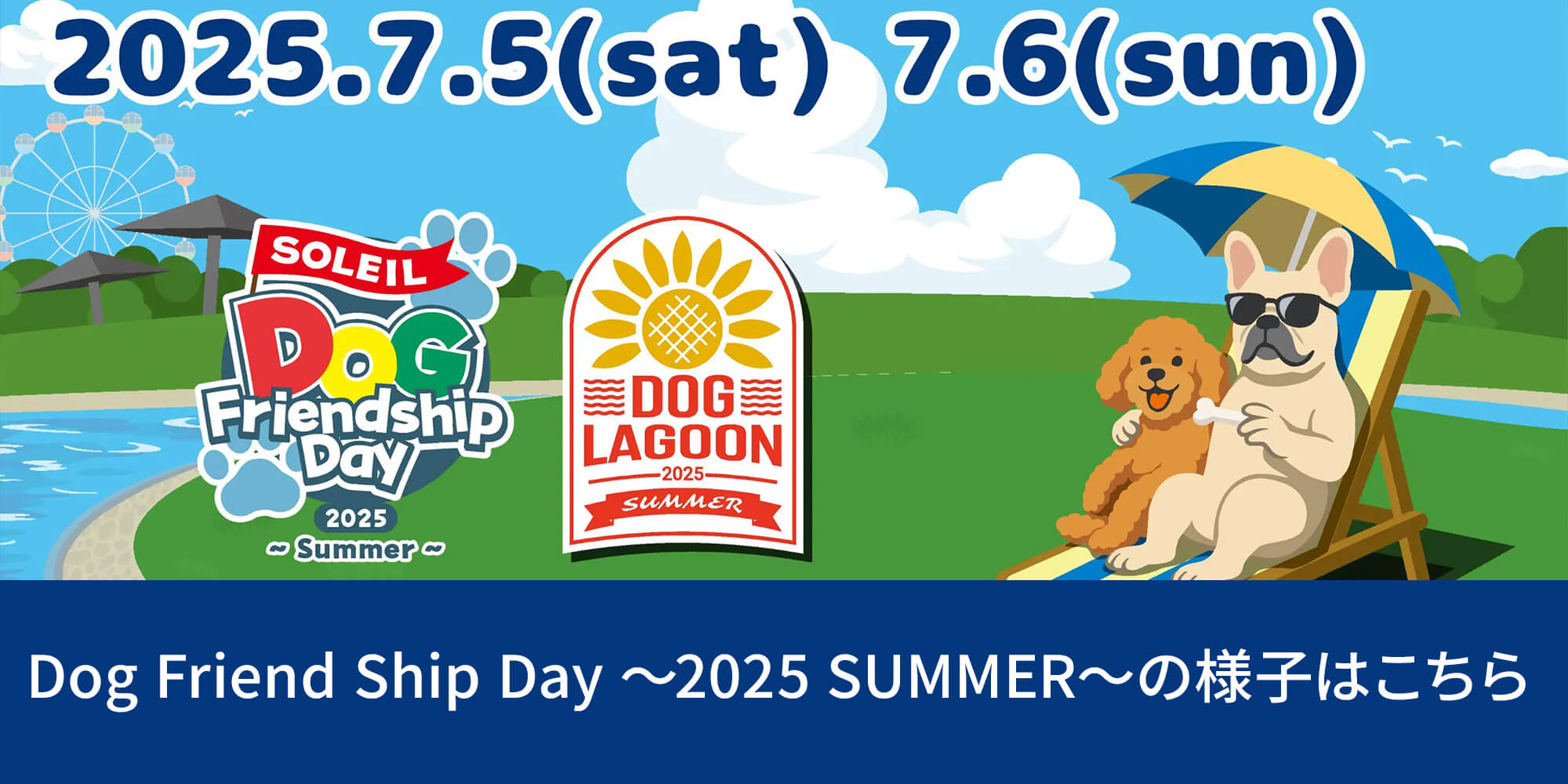 7月5日、6日に開催された Dog Friend Ship Day 2025 summerの様子はこちら