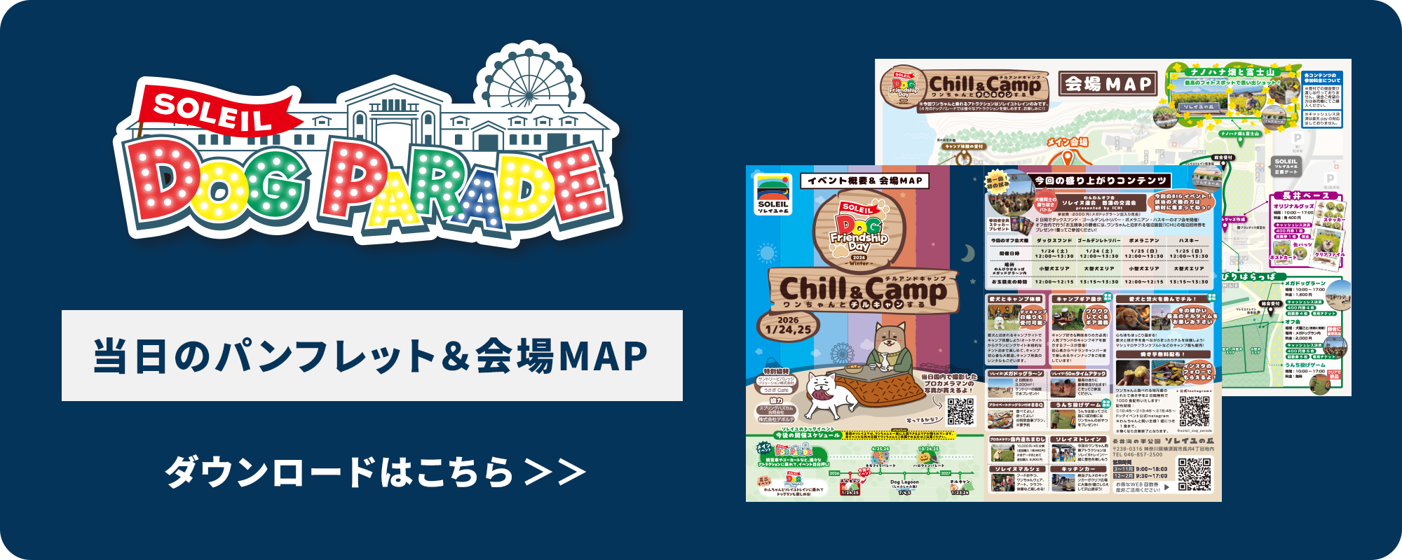 チラシはこちら