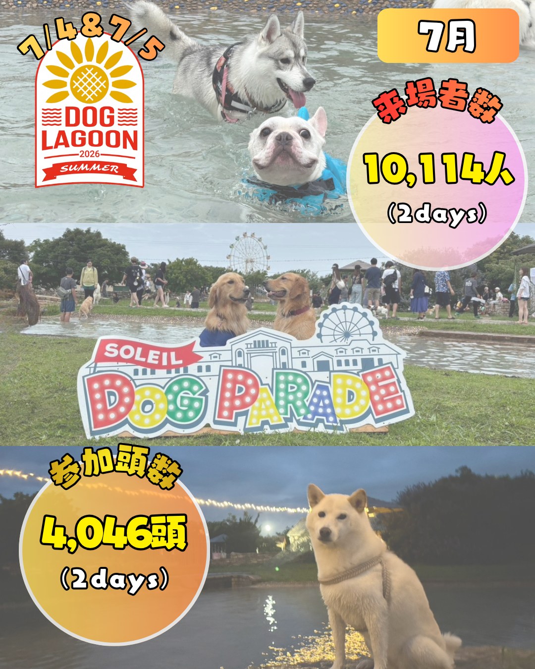 7月 7月4日・7月5日 SOLEIL DOG LAGOON 2026 来場者数 10,114人(2days) 参加頭数 4,046頭(2days)