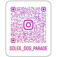 Instagram公式アカウント