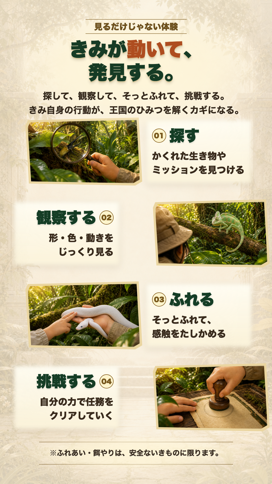 探す、観察する、ふれる、挑戦する