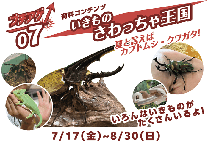 ブチアゲ07 有料コンテンツ いきものさわっちゃ王国 7月17日（金）～8月30日（日）