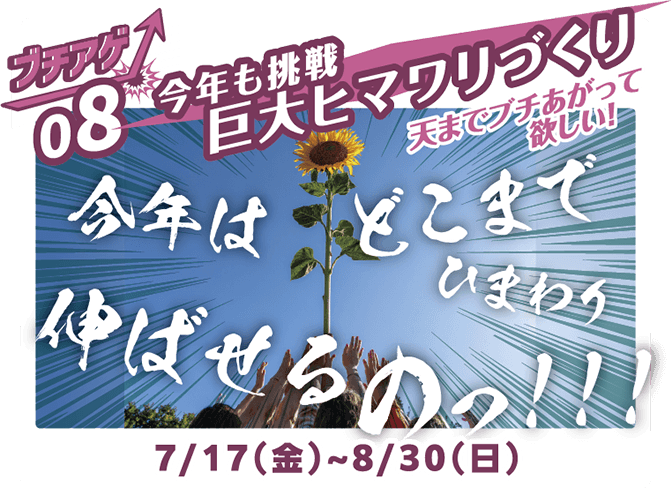 ブチアゲ08 今年も挑戦 巨大ヒマワリづくり 7月17日（金）～8月30日（日）
