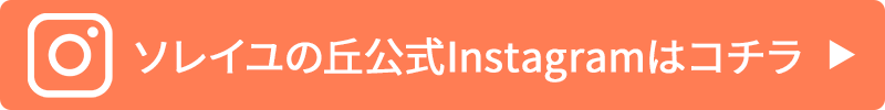 ソレイユの丘公式Instagramはコチラ