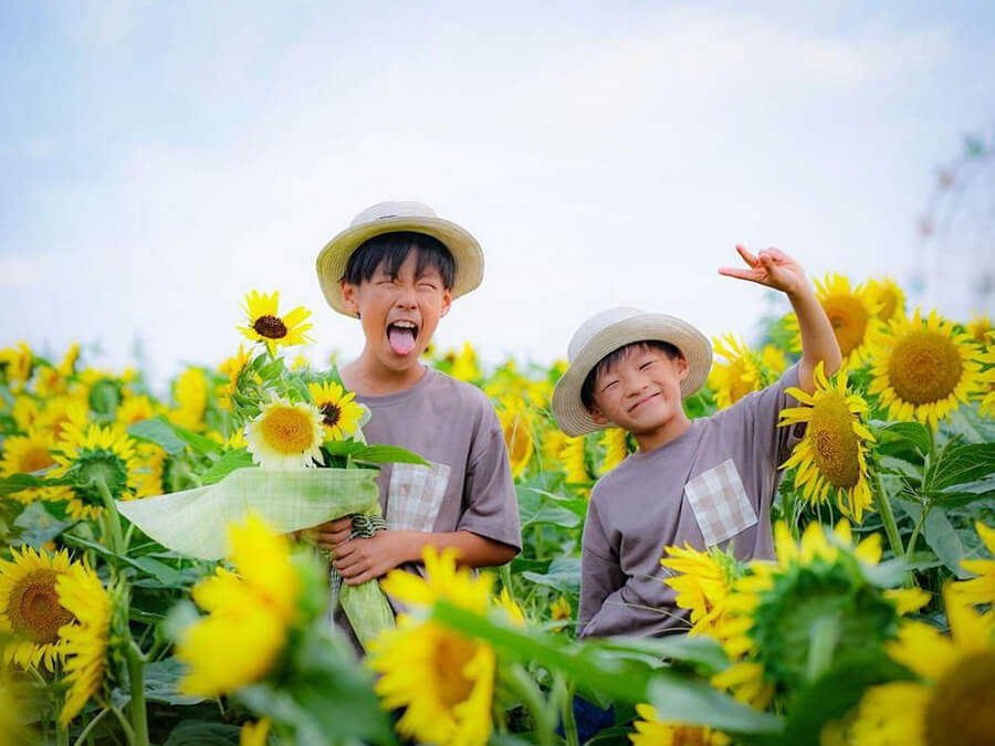 夏のブチアゲフォトコンテスト